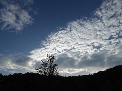 P1220476a.jpg