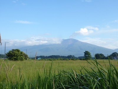 P1220521a.jpg