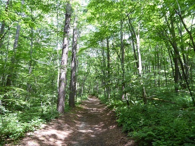 P1220651a.jpg