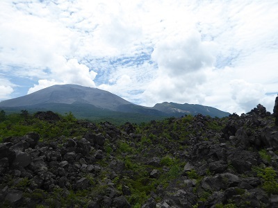 P1230010a.jpg