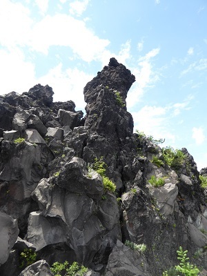 P1230041a.jpg