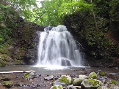 P1230060a.jpg